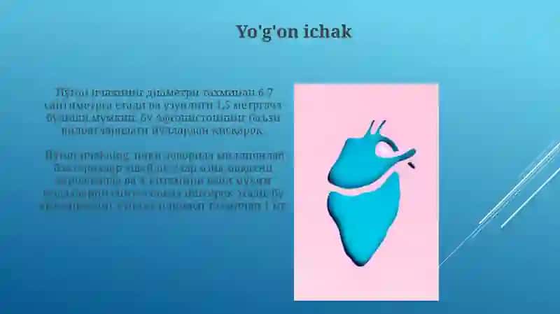 Ovqat hazm qilish organlari 4