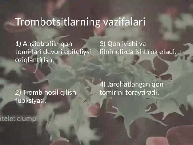 Trombotsitlar. Qon guruhlari. Rezus omillar. Fiziologiya. 4