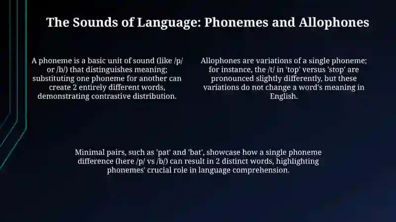 Fundamentals of Phonology 4