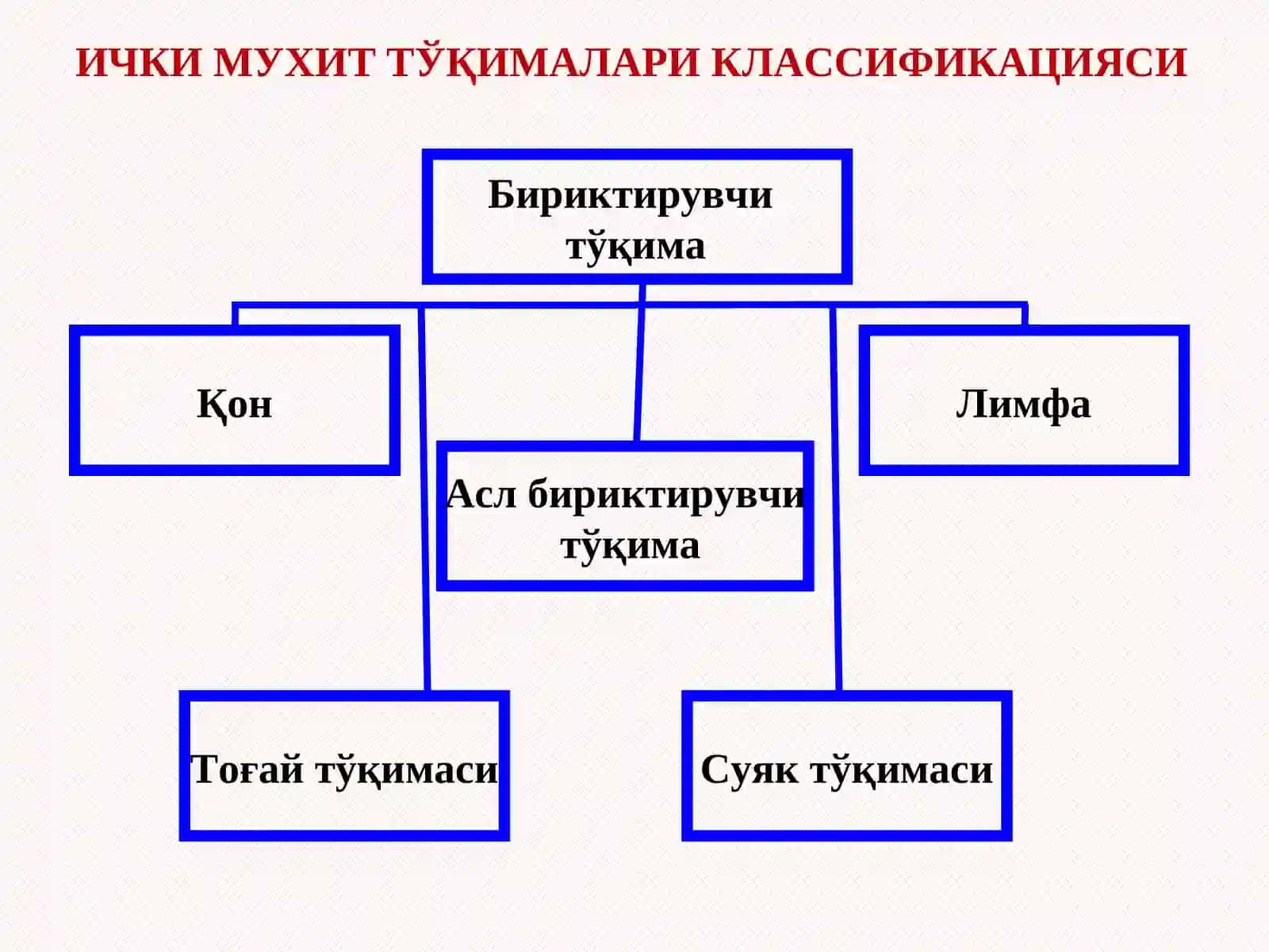 БИРИКТИРУВЧИ ТЎҚИМА 4