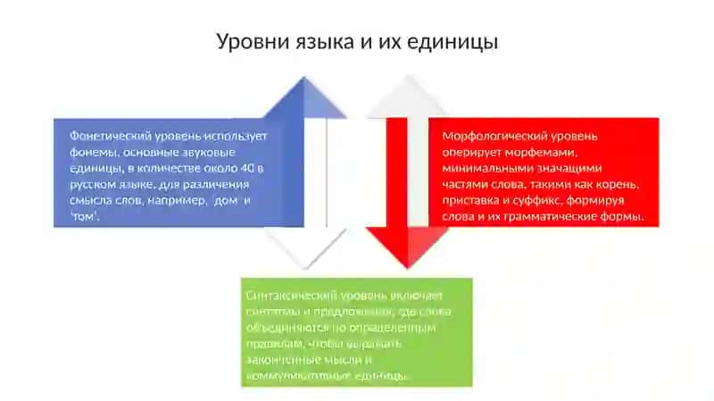 Система языка: Общее представление 4