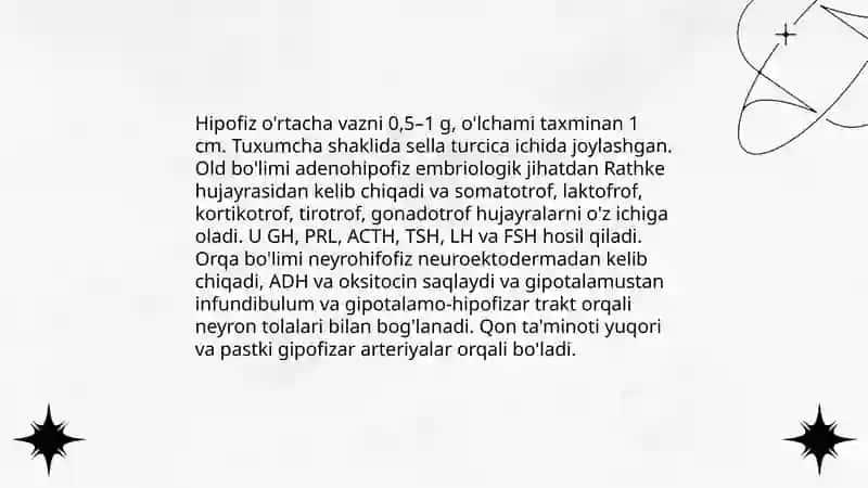 Gipotalamo-gipofizar tizim 4