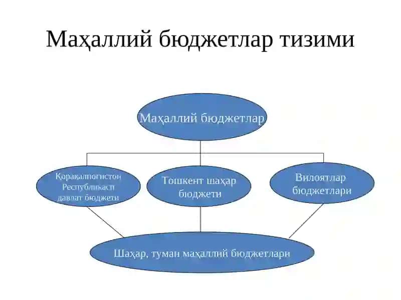 Маҳаллий бюджетлар 4