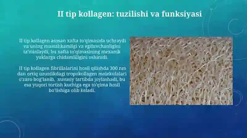 Kollagen Tolalar 4
