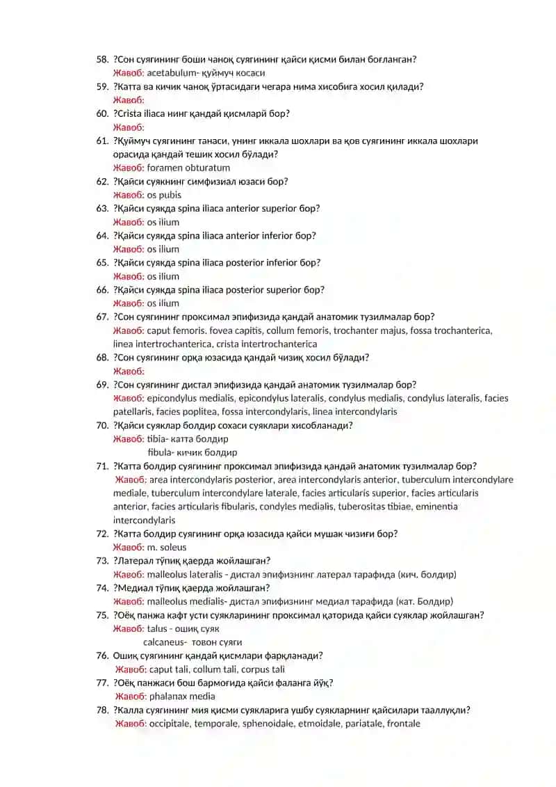 Умуртқа поғонаси 4