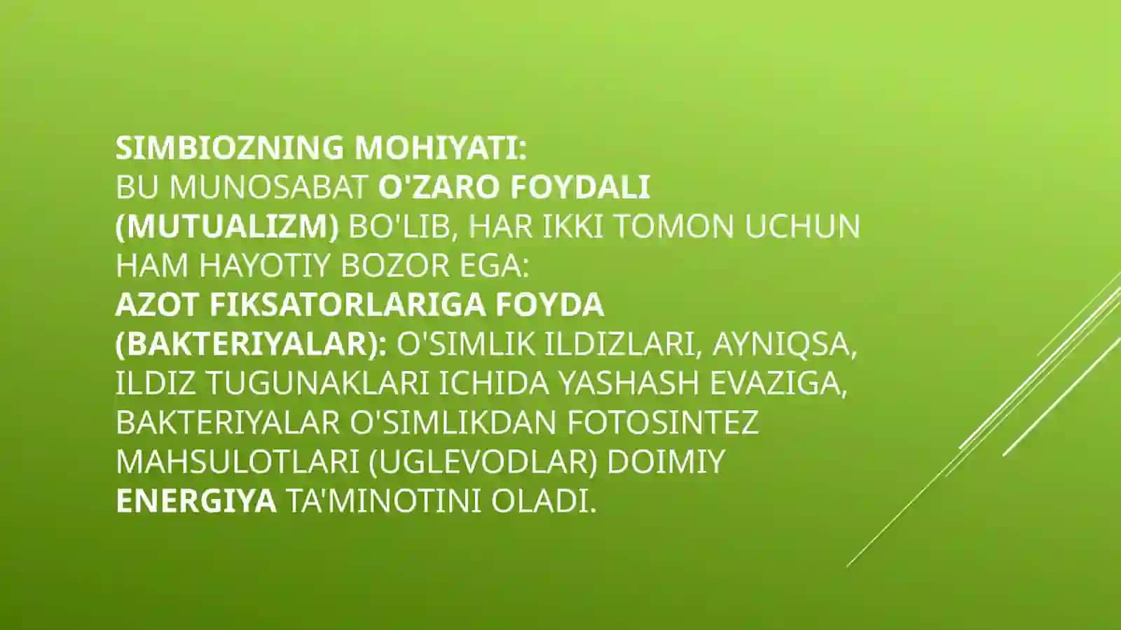 O’SIMLIKLARNING AZOTFIKSATORLAR BILAN SIMBIOZI 4