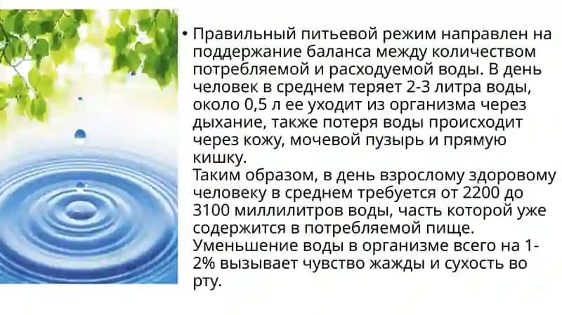 Чистая вода источник жизни 4