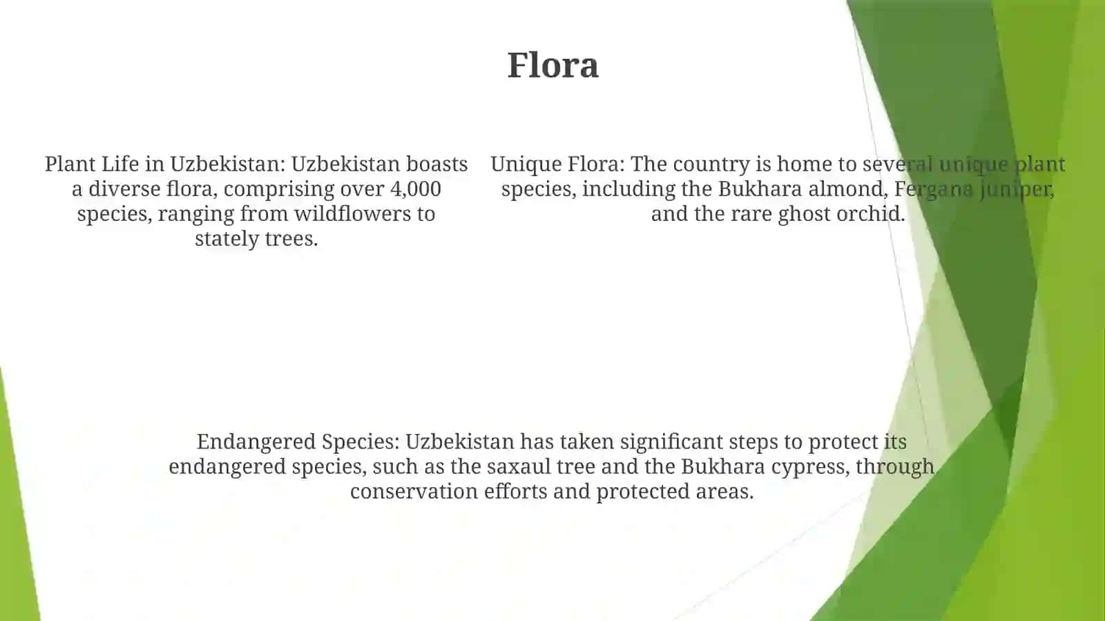 Nature Of Uzbekistan 4