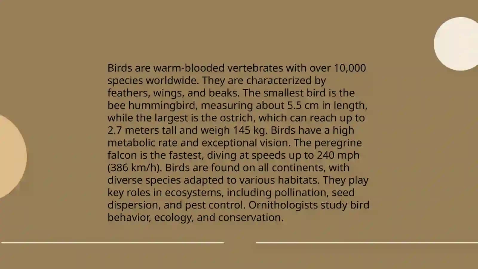 Groups of animals 4
