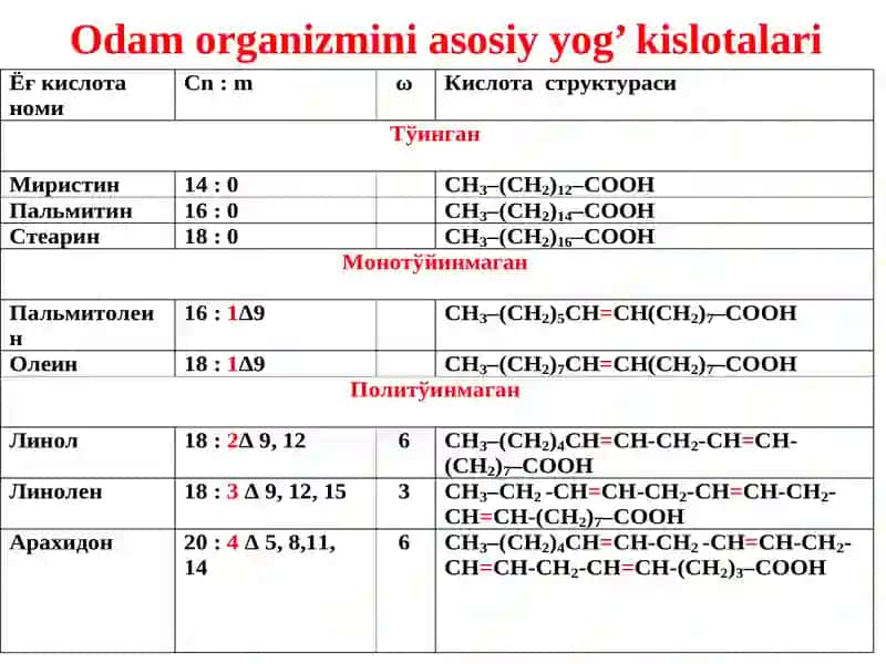 Lipidlar. Vitaminlar. 4