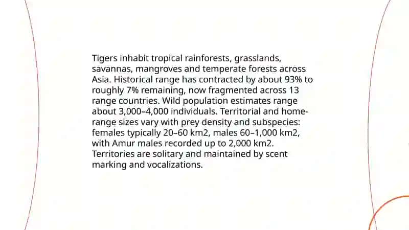 Tiger Species and Subspecies Diversity 4