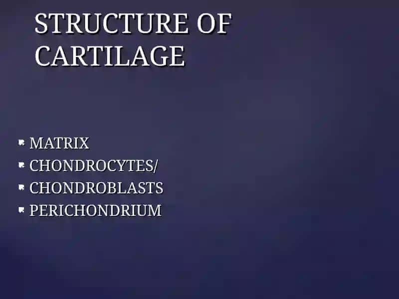 Types of Cartilage 4