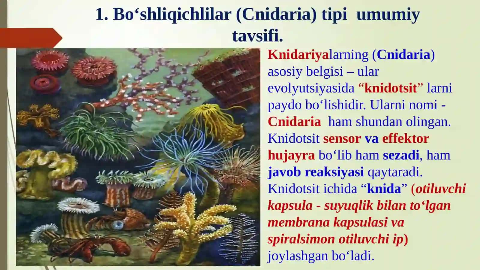 ZOOLOGIYA 1 4