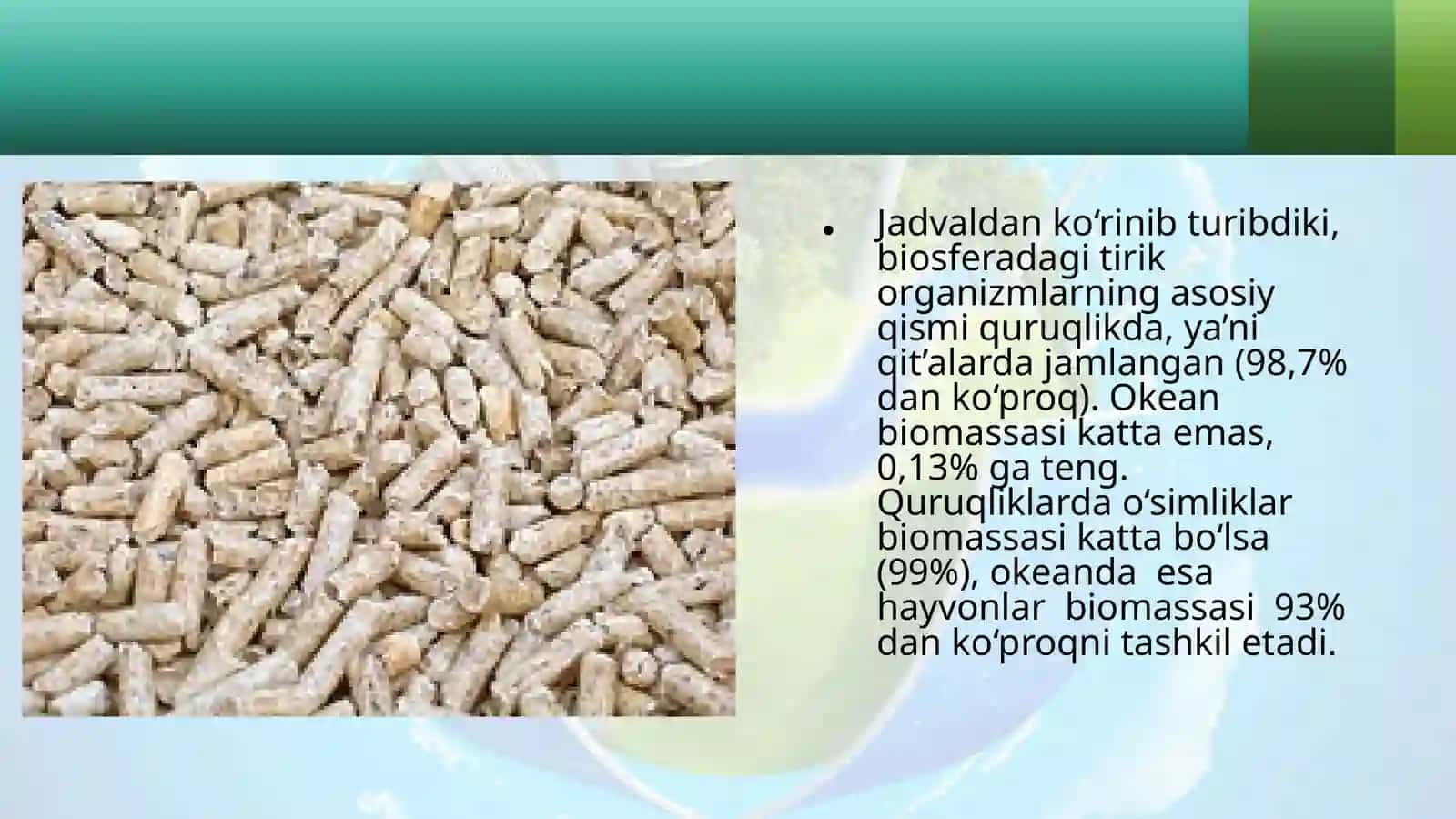 28-§.Biosferabiomassasi 4