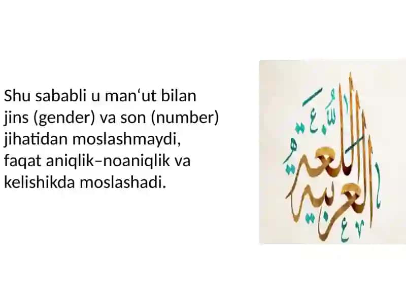 Moslashmagan aniqlovchi 4