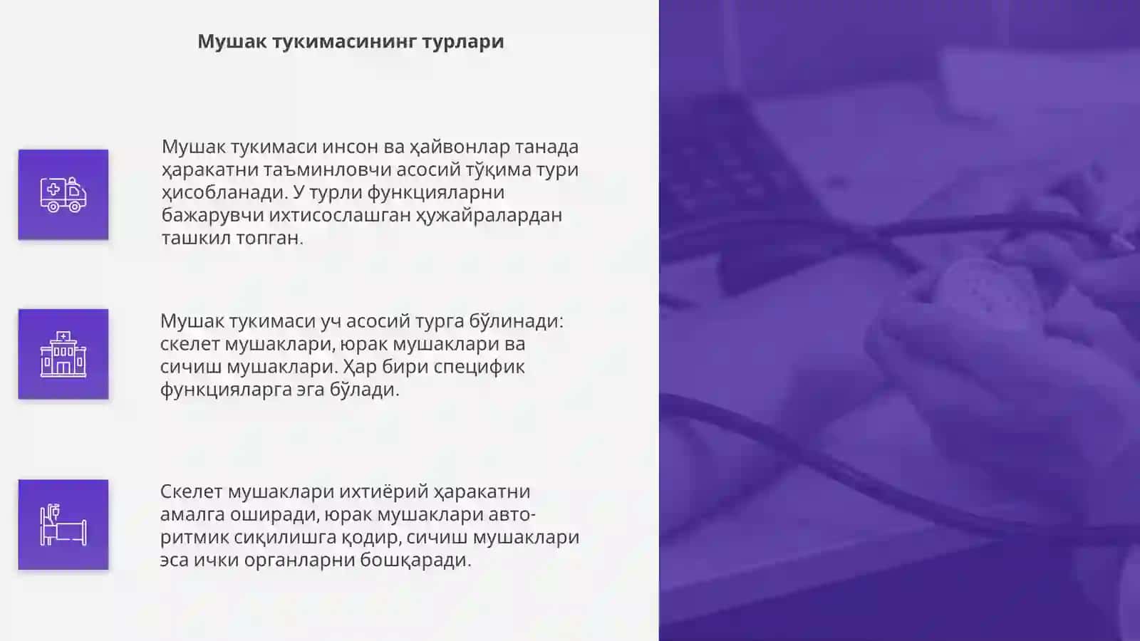 Мушак тукимаси хакида 4