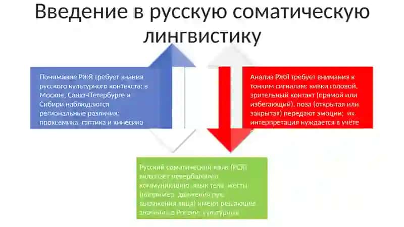 Русский соматический язык 4