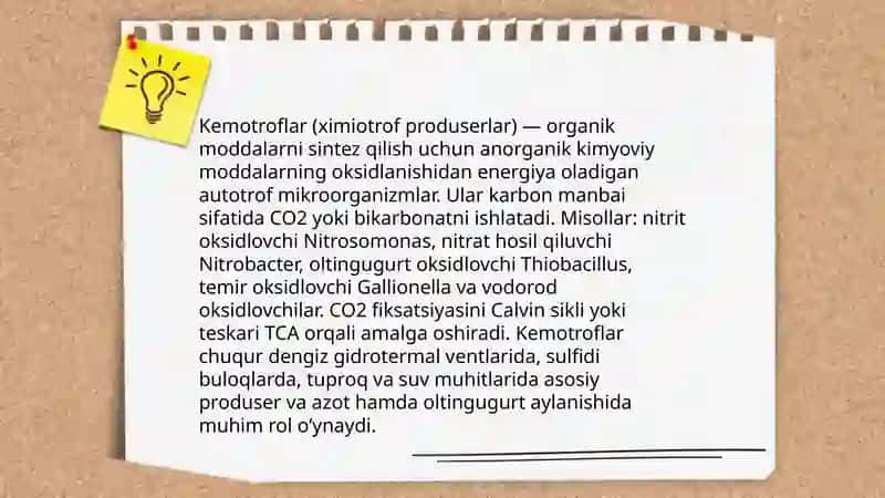 Organizmlarning ekoligik guruhlari 4