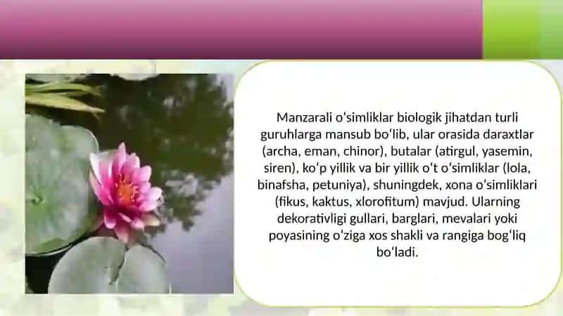 Manzarali o'simliklarning kelib chiqish markazlari 4