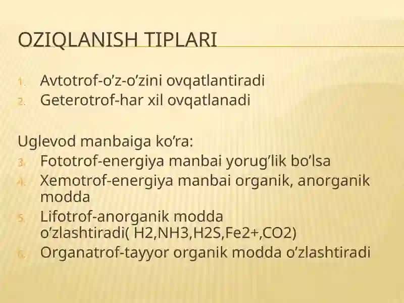 Mikroorganizmlarning oziqlanishi 4
