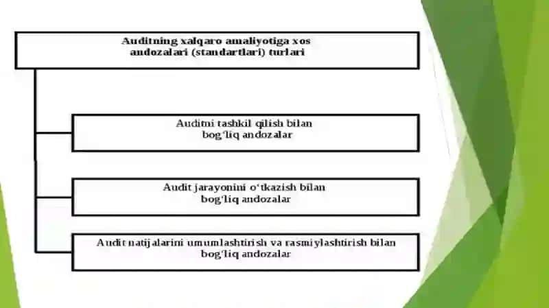Auditning mohiyati, uning maqsadi va vazifasi 4