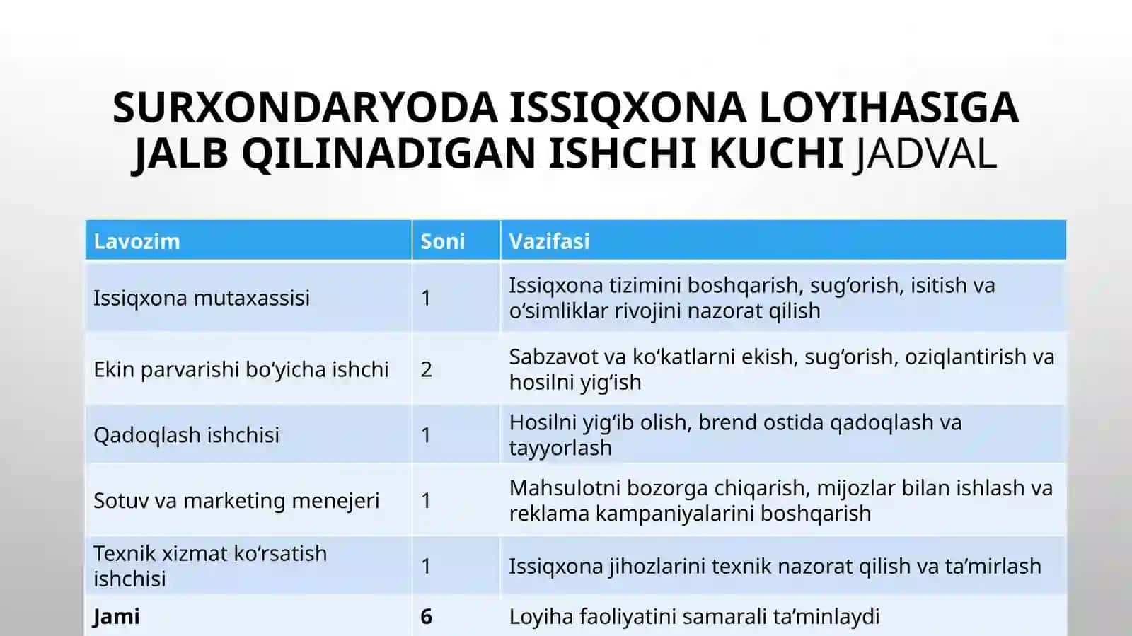 (100 millionlik loyiha ishi)  Surxondaryo viloyatida issiqxona loyihasi 4