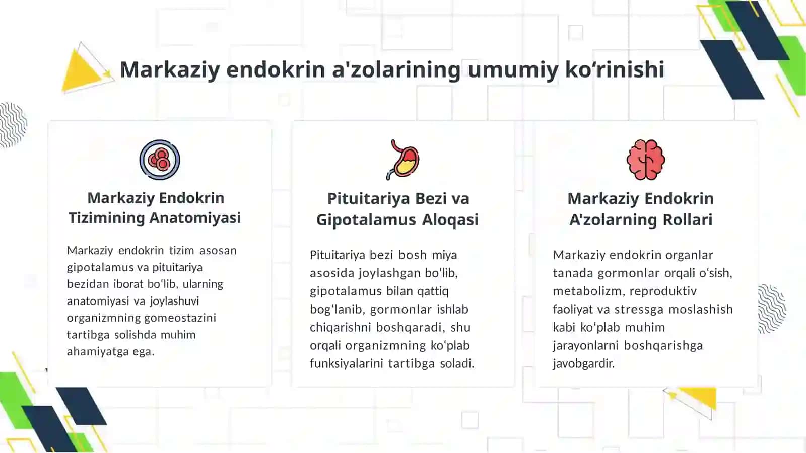 Endokrintizimia'zolari:markaziyvaperiferik a'zolar 4