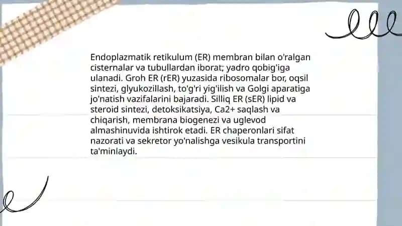 Endomembrana tizimi 4