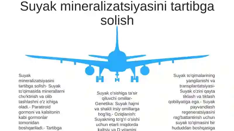 Suyak To'Qimalarining Minerallashuvi 4