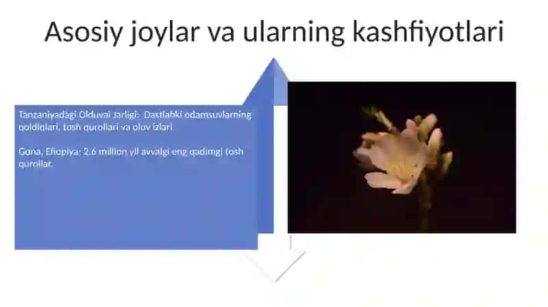 Ilk paleolit davri va uning yodgorliklari 4