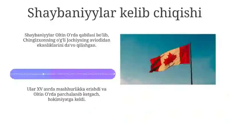 Shayboniylar davri siyosiy boshxaruv 4