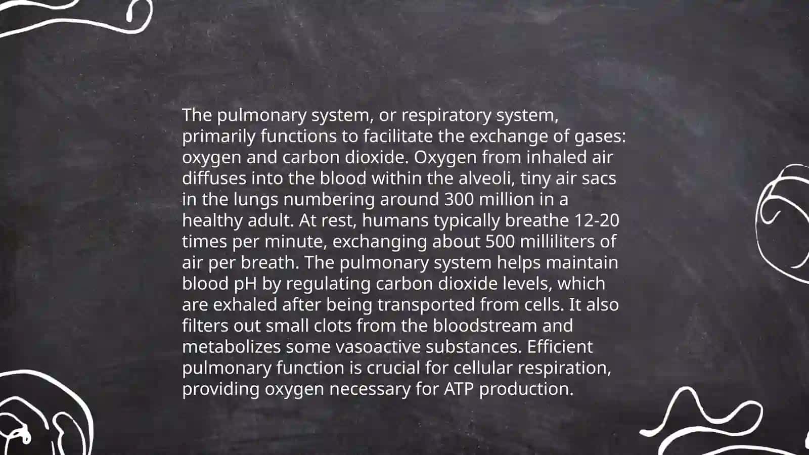 Lungs and a pulmanry system 4