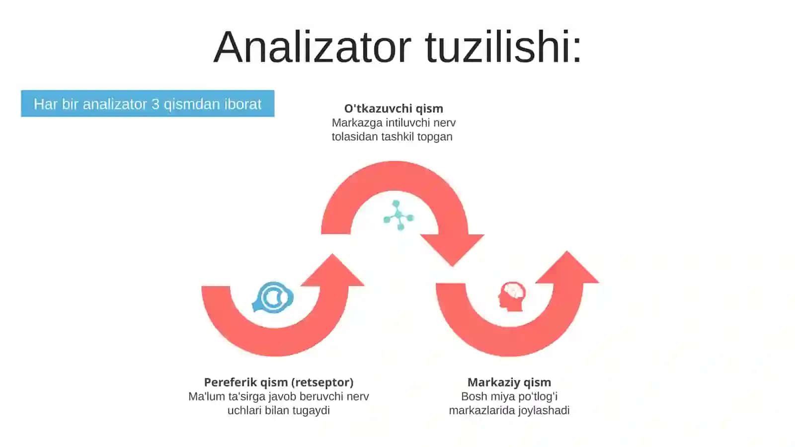 Analizatorlar haqida tushuncha 4