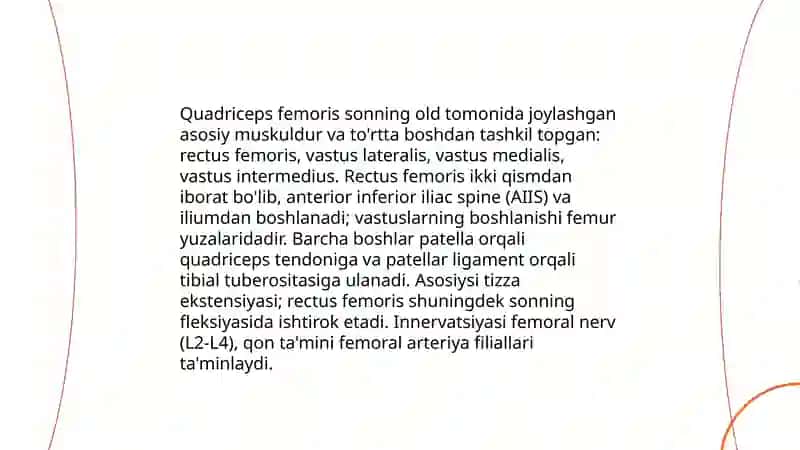 Oyoq muskullarining tuzilishi 4