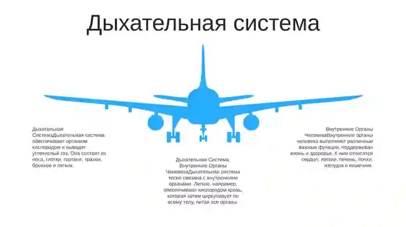 Внутренние Органы Человека 4