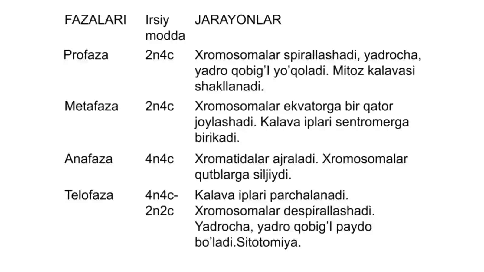Mitoz va meyoz sikllari 4
