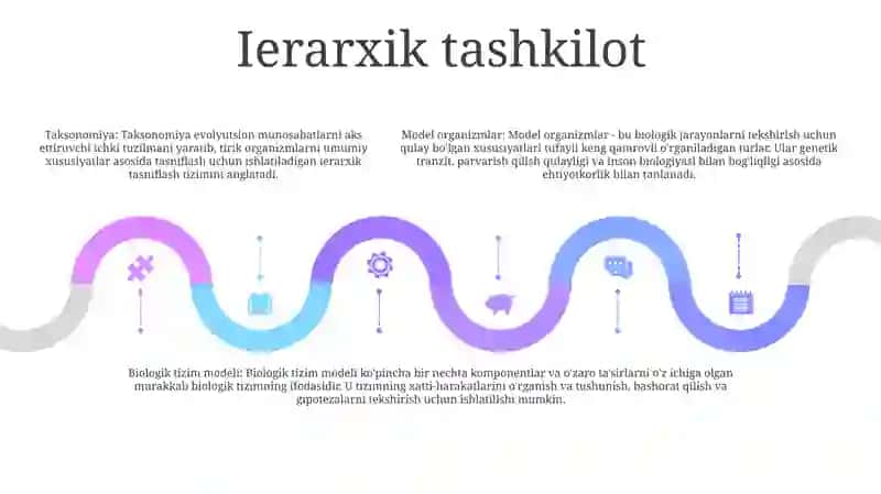 Biologik Sistema Modellari 4