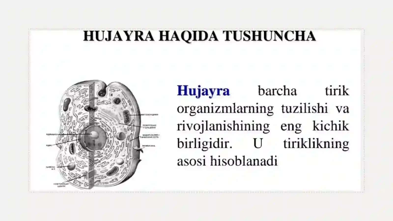 Sitologiyaga Faniga Kirish 4