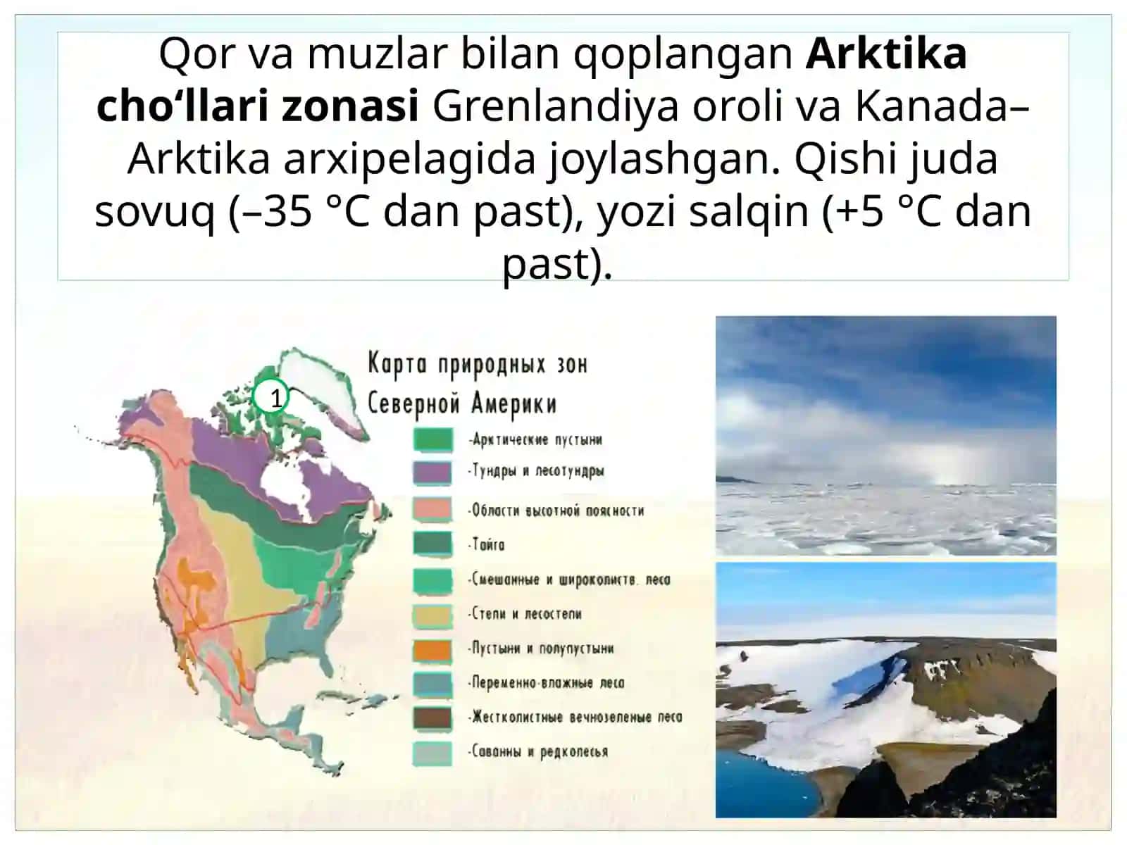 Shimoliy Amerika ning tabiat zonalar va balandlik mintaqalari 4