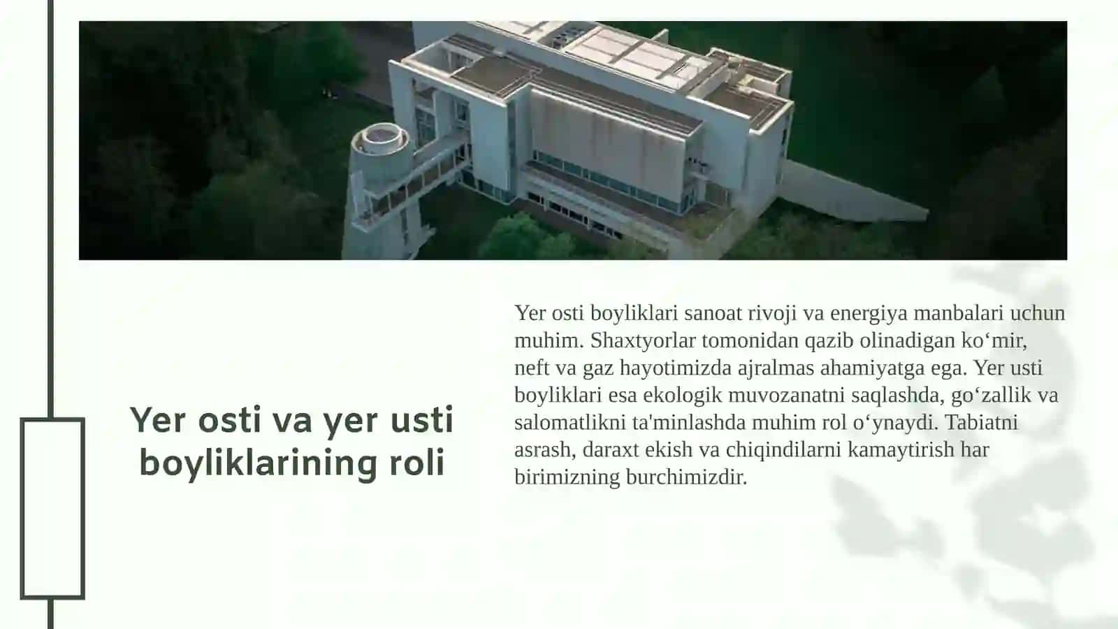 Tabiiy boyliklar 4