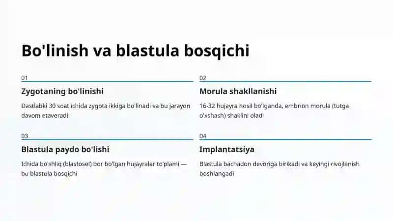 Inson rivojlanishi va embriogenezning qisqacha anatomiyasi 4