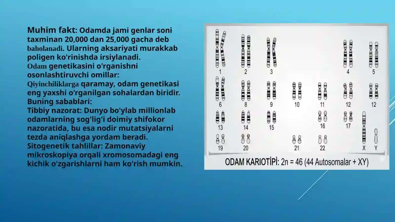 Odamning rivojlanish genetikasi 4