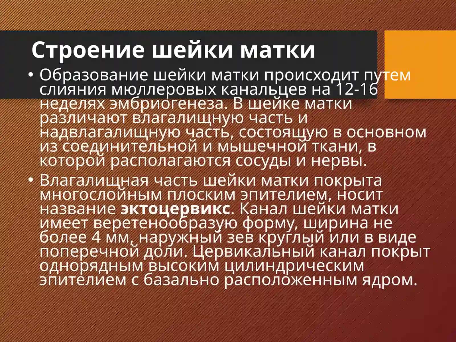 Предраковые заболевания матки 4