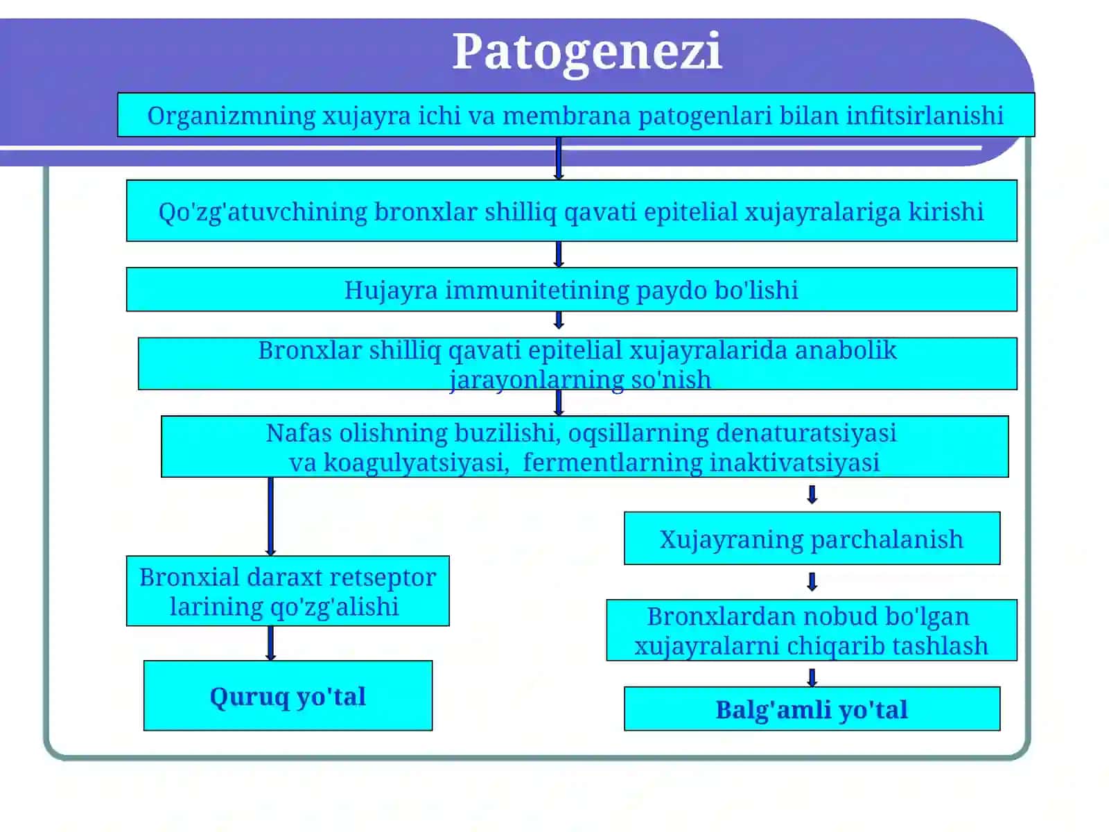 Yo'tal sindromi 4