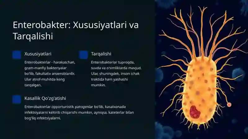 Shartli patogen diarreogen ichak gruppa bakteriyalari 4