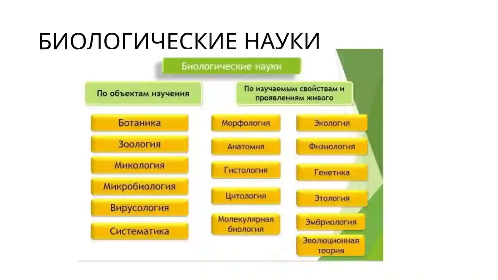 Биология как наука 4