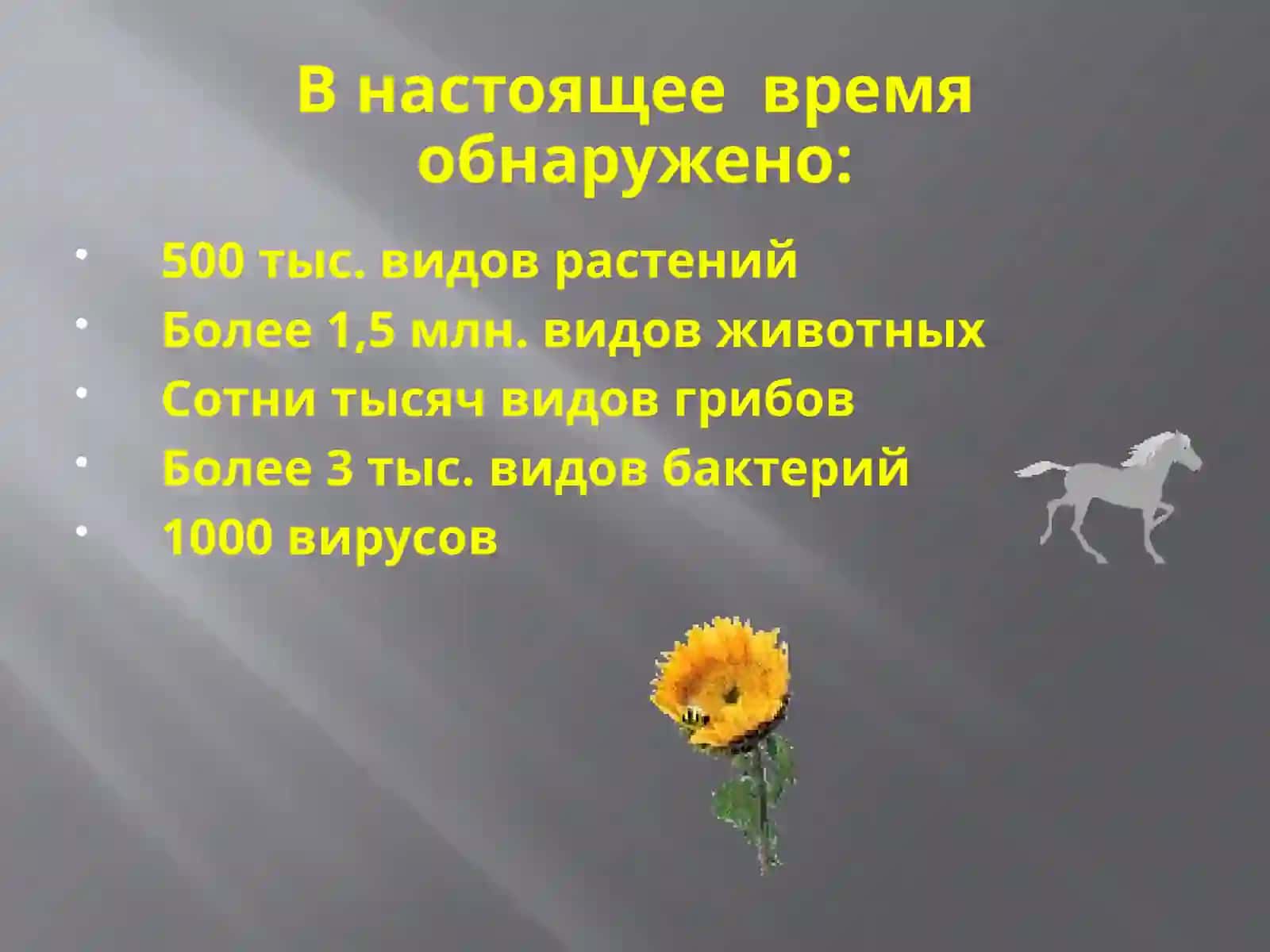 Основы общей биологии 4