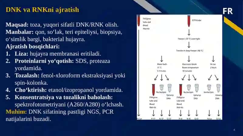 Genomni o'rganishning molekulyar-genetik metodlari 4