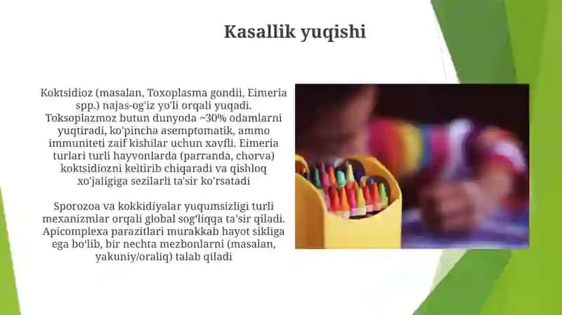 Sporalilarsinfi, koksidyalarturkumi 4