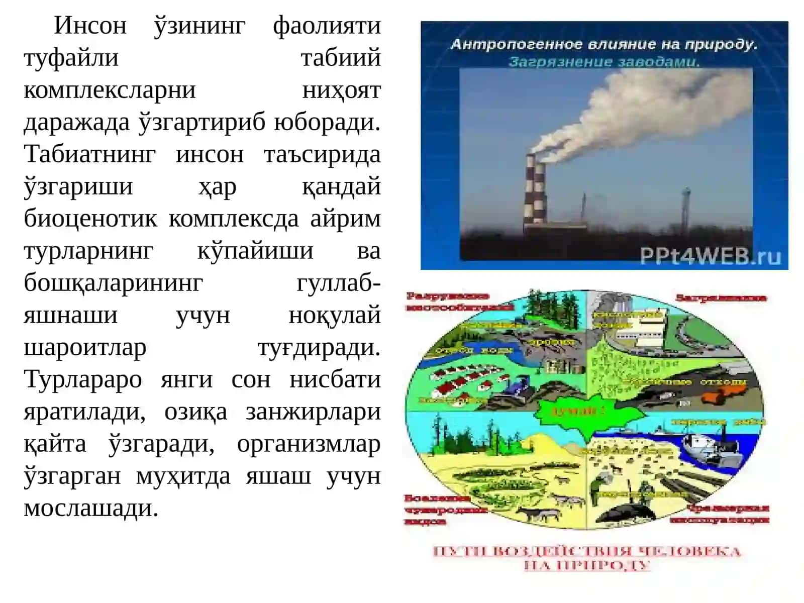 АНТРОПОГЕН ОМИЛЛАРНИ ҲАШАРОТЛАРГА ТАЪСИРИ 4
